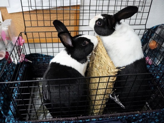 230114みる＆くりDSC04768