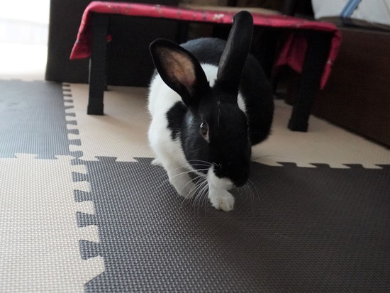 230311みつDSC05396 (2)