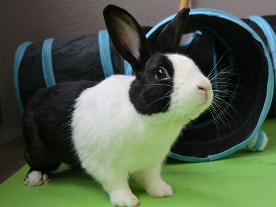 210912 powa DSC_2112 (2)