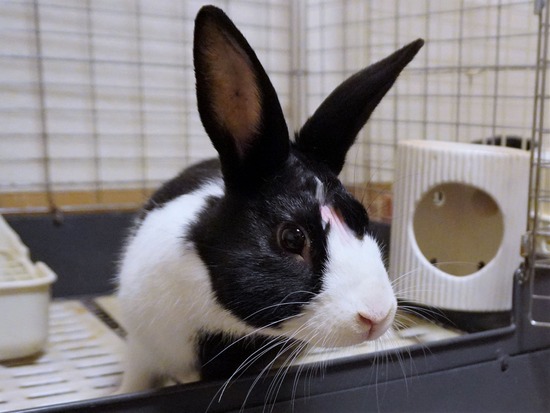 221230こんDSC04175