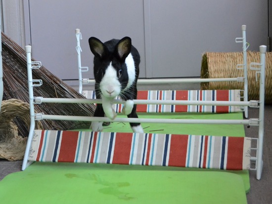 210920 obi DSC_2171 (2)