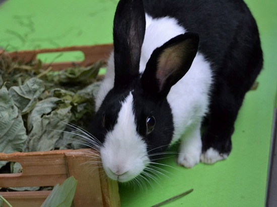 210912 ito DSC_0493 (2)