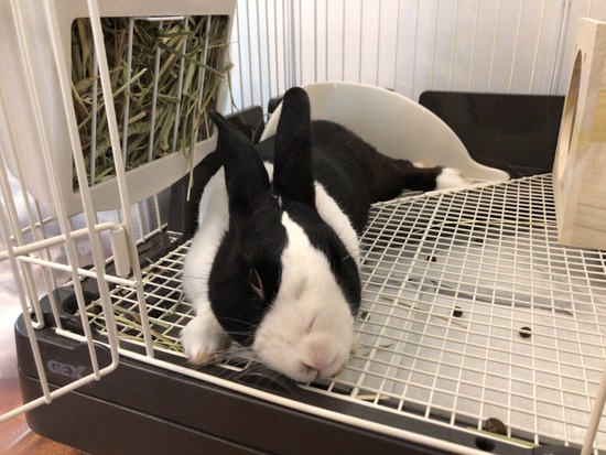 4643698F-1D39-470A-A066-E56361447941