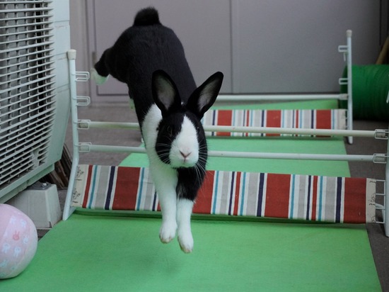 220505ビスケDSC03584 (2)