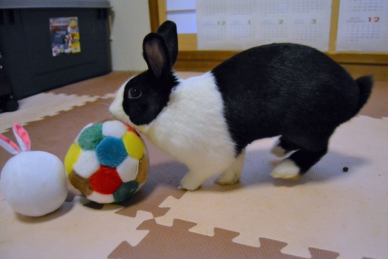 210723 ぽわDSC_2995 (2)