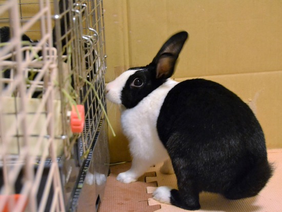 210815 たまDSC_2058 (2)