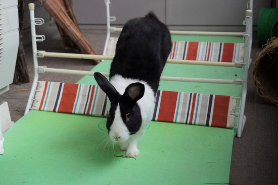 20230429げんDSC06961