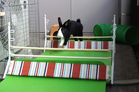 20231001こんDSC03512