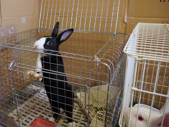 230212こんDSC05317