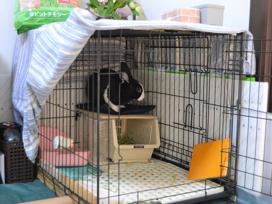 211107 b2 DSC_1585 (2)