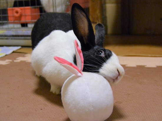 210815 たまDSC_2101 (2)