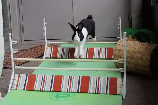 20230429げんDSC07075 (2)