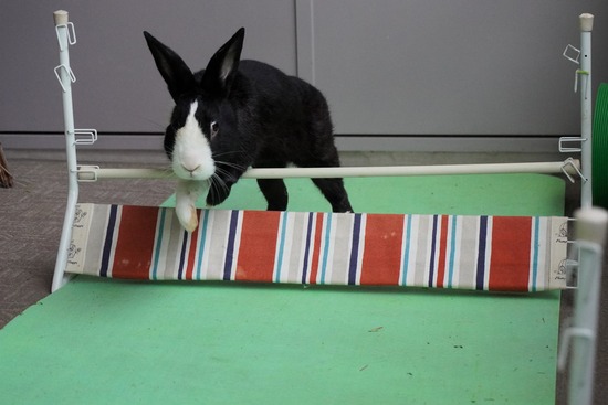 20230429こんDSC06416