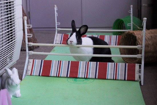 20230503げんDSC08884