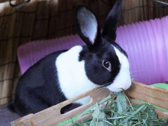 220212ビスケDSC05534 (2)