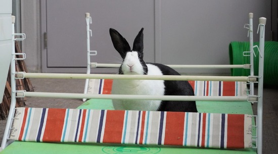 20230503くりDSC07558