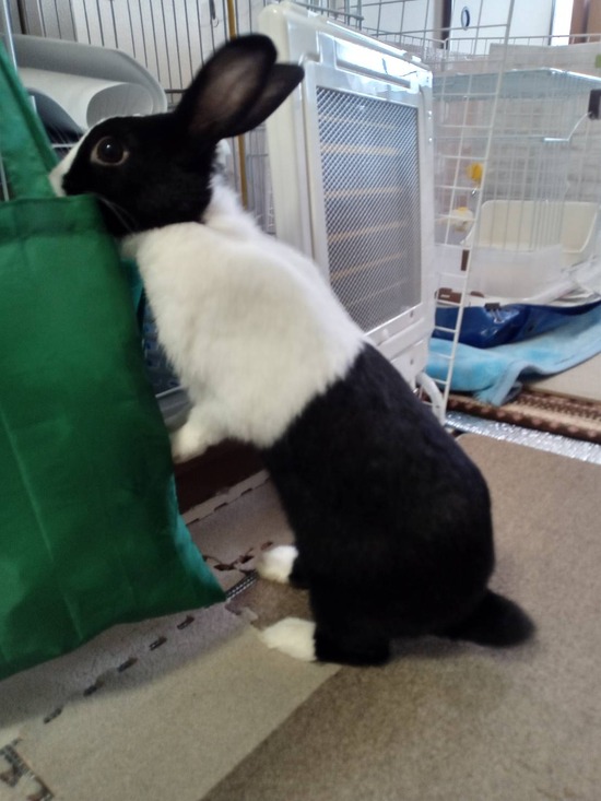 1708759360182_20240224162438