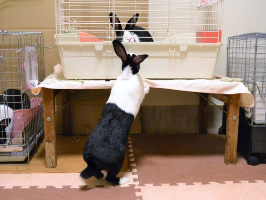 210815 たまDSC_2132 (2)