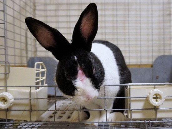 221230せいDSC04227