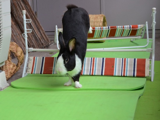 210912 obi DSC_2669 (2)