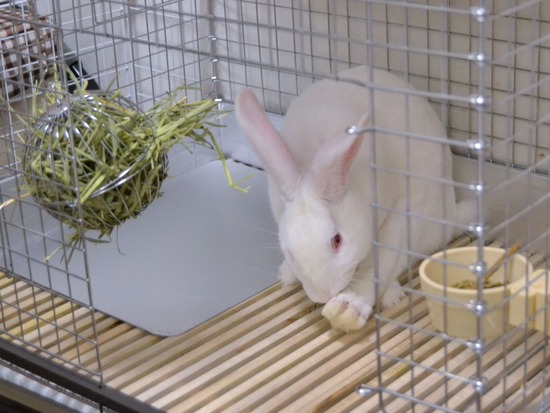 210828 ミルクDSC_2168 (2)