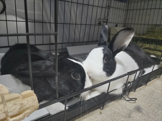 BeautyPlus_20231230225448615_save