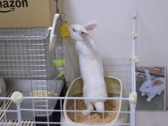 210828 ミルクDSC_2072 (2)