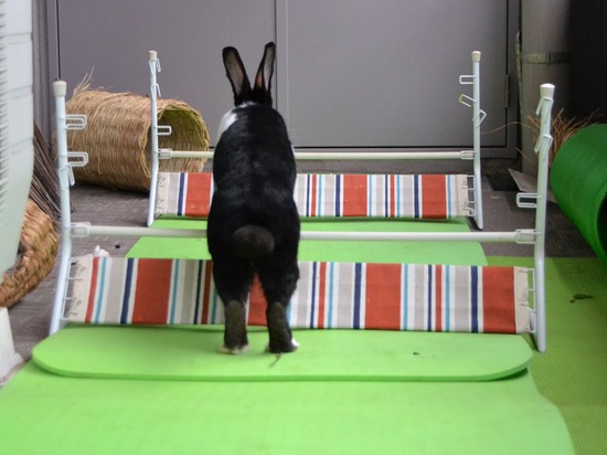 210912 bi2 DSC_2984 (2)