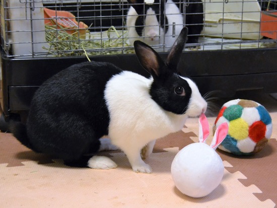 210723 たまDSC_0014 (2)