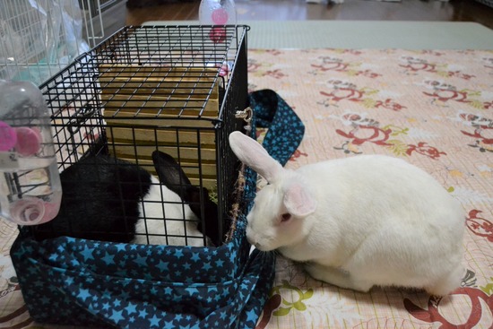 211120 itoDSC_1341 (2)