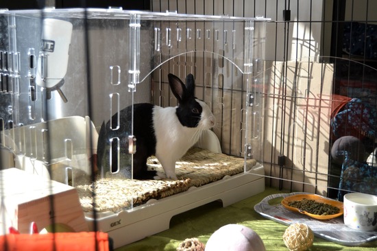 211003 powa DSC_1275 (2)