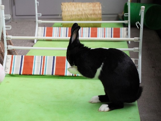 220213ビスケDSC06638 (2)