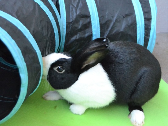 210920 b2 DSC_2069 (2)