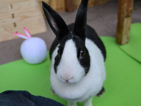 210905 okkiDSC_2591 (2)