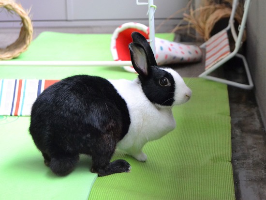 210905 おっきDSC_2338 (2)