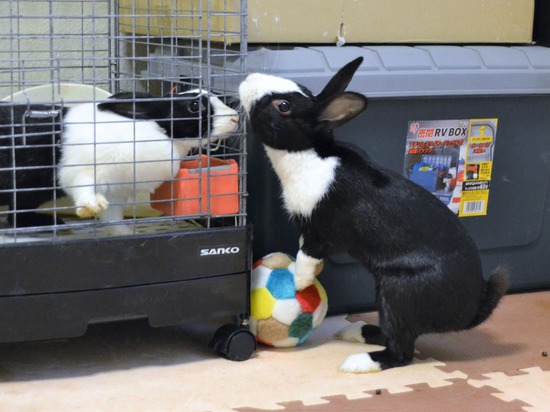 210723 オビワンDSC_2767 (2)