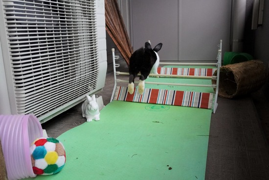 20230429げんDSC06951