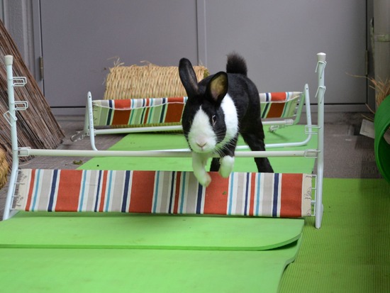 210912 obi DSC_2691 (2)