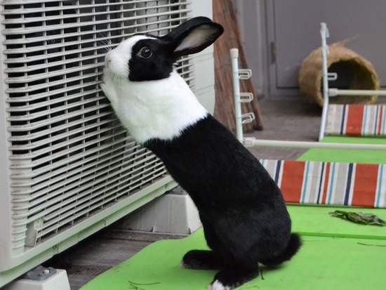 210912 ito DSC_0474 (2)