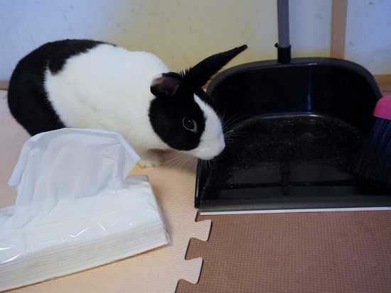 220904しらたまDSC09560 (2)