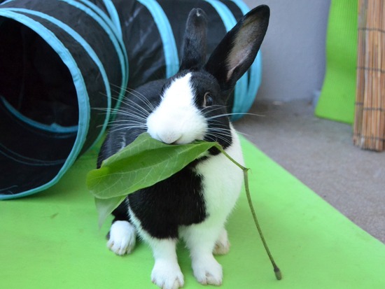 210920 b2 DSC_2107 (2)