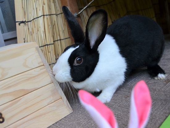 210905 itoDSC_2723 (2)