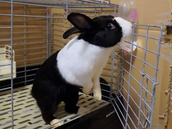 221230まつDSC04087