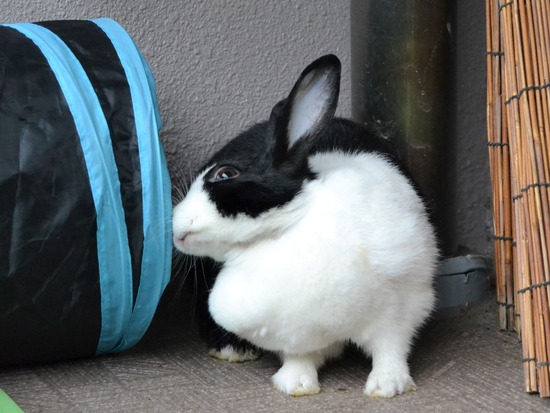 210912 okki DSC_0349 (2)