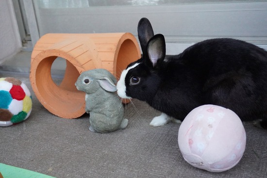 20230503こんDSC07825