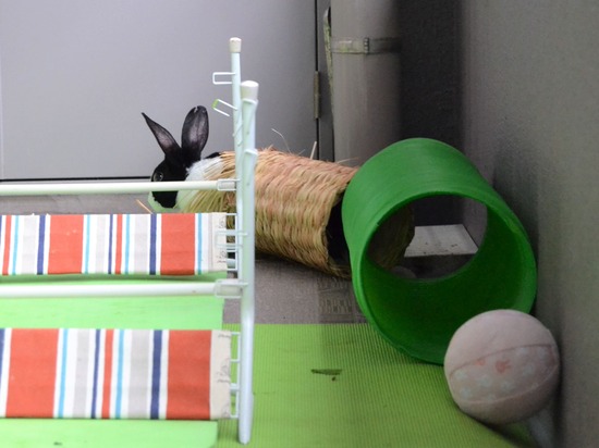 210912 bi2 DSC_0289 (2)