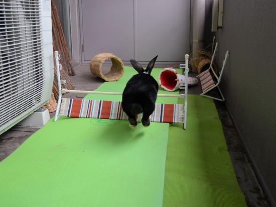 210905 こまDSC_2242 (2)