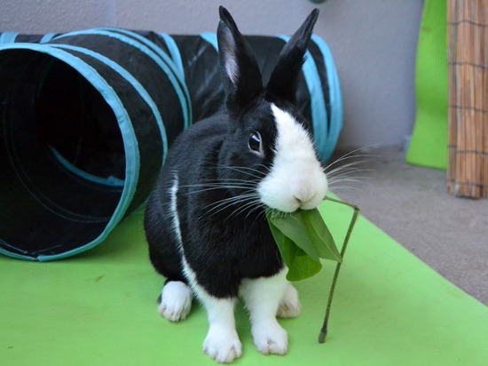 210920 b2 DSC_2110 (2)