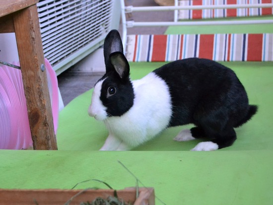 211123 komaDSC_1440 (2)