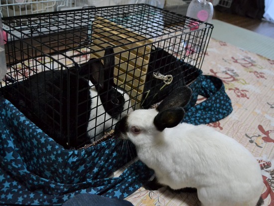 211120itoDSC_1353 (2)